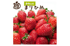 ＜4月より発送＞ 朝摘み 毬姫 約1.2kg（300g前後×4P）和歌山 いちご まりひめ ［IKE100］