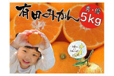 はじめまして有田みかん 和歌山県産 お試し 約5kg /ORYY推奨