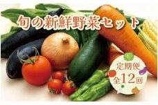 【毎月お届け全12回】旬の新鮮野菜セットＡ（たっぷり13種類以上）野菜セット 野菜詰め合わせ 野菜 さやい 夏野菜