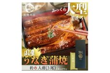 大型サイズ　ふっくら柔らか　国産うなぎ蒲焼き　3尾　化粧箱入［夏土用の丑の日のうなぎ］［10月23日までにお届け］［UT06］