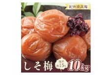 いなみの里梅園　しそ梅10kg　塩分約15％【和歌山産】紀州南高梅　印南町　