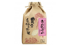きぬむすめ 精米 3kg【令和5年産】（発送日前日精米）