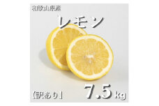 和歌山産 レモン 7.5kg  【訳あり】 【US2】
