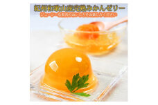 紀州和歌山まるごとみかんゼリー 145g×6個 化粧箱入【2024年10月1日より発送予定】【UT27】