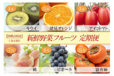 和歌山の旬の果実を 奇数月にお届け全6回定期便（キウイ・清見オレンジ・ミニトマト・桃・ピオーネ・富有柿）【TM62】