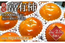 【限定】 富有柿 2kg～2.5kg 6個入 至高の逸品 約1000個に１個！【先行予約】【2025年10月末頃から発送】【KG5】