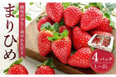 まりひめイチゴ L～２L 12粒～15粒×4パック［2026年1月中旬から発送］［先行販売］［KG8］