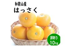 【訳あり・ご家庭用】はっさく（八朔）約10kg 和歌山産