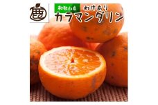 ［先行予約］家庭用 カラマンダリン5kg+250g（傷み補償分）［南津海・なつみ］［希少な春柑橘］［わけあり・訳あり］［みかんと同じように食べられます］［IKE70］
