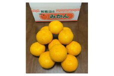 地元印南町産 樹熟 甘夏みかん 約7.5kg（20個前後） 大玉L～2Lサイズ