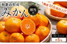 和歌山県産 糖度 12.5度以上 秀品 贈答用 みかん 5kg 3S～L サイズ混合 【MG55】