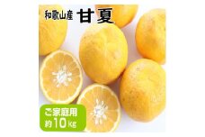 【ご家庭用】甘夏（あまなつ）約10kg 和歌山産