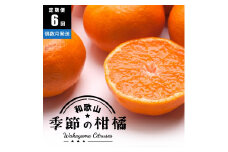 ［偶数月 全6回 ］ 柑橘定期便A［IKE13］
