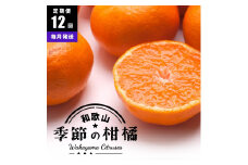 ［ 毎月発送 全12回 ］ 柑橘定期便A［IKE9］