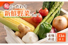 旬の新鮮野菜セット 大満足な13種以上【野菜詰め合わせ】野菜 やさい セット 野菜セット