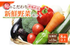 定期便 旬の新鮮野菜詰め合わせ 8種以上 全12回【野菜セット】定期便 野菜 やさい 野菜セット 詰め合わせ