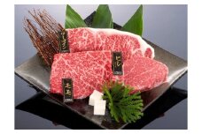 熊野牛 ステーキバラエティセット【MT13】