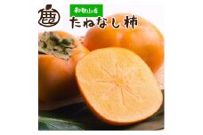 ＜10月より発送＞たねなし柿 約4kg［刀根早生・平核無柿（ひらたねなしかき）］［カキ・種無柿・種無し柿・種なし柿・無核柿］［IKE96］