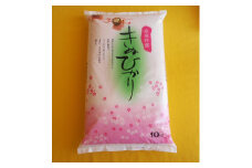 ［先行予約］和歌山県産 米 キヌヒカリ 10kg  (2025年産)［SL28］