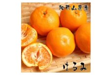 濃厚 はるみ みかん Ｌサイズ 約5kg 2025年1月下旬～2月中旬頃に順次発送予定 | 先行予約 みかん 柑橘 蜜柑 くだもの 果物 果実 フルーツ 和歌山 有田 【MS82】