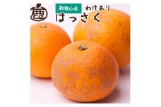 ［先行予約］家庭用 はっさく10kg+250g（傷み補償分）【八朔みかん】【訳あり・わけあり】［IKE30］