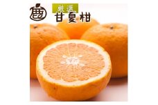 ［先行予約］厳選 甘夏柑5kg+250g（傷み補償分）［初夏のみかん・旬の果物］［有田産］［光センサー食べ頃出荷］［IKE72］