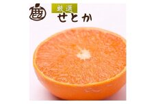 ［先行予約］厳選 せとか1kg+250g（傷み補償分）［柑橘・春みかんの王様］［光センサー選果・食べ頃出荷］［IKE60］