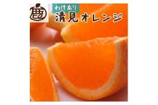 ［先行予約］家庭用 清見オレンジ10kg+250g（傷み補償分）［光センサー食頃出荷］［樹上完熟きよみオレンジ・清見タンゴール・清美］［わけあり・訳あり］［IKE64］