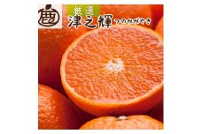 ［先行予約］厳選 津之輝1kg+250g（傷み補償分）［つのかがやき］［せとかに似た柑橘］［光センサー選果］［IKE55］