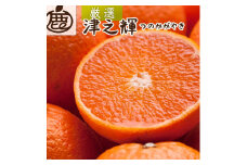 ＜2月より発送＞ 厳選 津之輝3kg+90g（傷み補償分）つのかがやき 光センサー選別 ［IKE56］