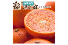 ＜2月より発送＞ 家庭用 津之輝3kg+90g（傷み補償分）つのかがやき 訳あり わけあり 光センサー選別［IKE59］