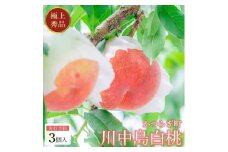 【秀品】川中島白桃 食べきりやすい3個入り 【2025年7月末頃から順次発送】こだわり 農家厳選 先行予約 モモ 【KG16】