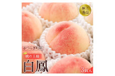 先行販売！［モモ］ 白鳳　桃の王様！食べきりやすい３個入り［2026年6月下旬頃より順次発送］［秀品］こだわり農家厳選 ［KG17］