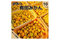 【訳あり】有田みかん 8kg＋2kg保証分 3S～3Lサイズ混合