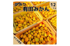 【訳あり】有田みかん 10kg＋2kg保証分 3S～3Lサイズ混合