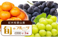 【8・9・12月 全3回 定期便 】紀州和歌山産旬のフルーツセット（種なし巨峰・シャインマスカット・みかん）【UT122】
