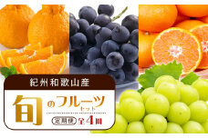 【2・8・9・12月 全4回 定期便 】紀州和歌山産旬のフルーツセット（不知火・種なし巨峰・シャインマスカット・みかん）【UT123】