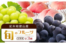 【7・8・9月 全3回 定期便 】紀州和歌山産旬のフルーツセット（桃・種なし巨峰・シャインマスカット）【UT124】