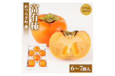 富有柿 赤秀品大玉6個～7個入 こだわり農家厳選【2025年10月末頃から12月末頃順次発送】【KG30】