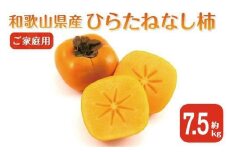 【2025年9月下旬以降発送】 ◆先行予約◆ 和歌山県産 平核無柿＜ご家庭用＞約7.5kg 満杯詰め  柿 種無し たねなし ひらたね 訳あり ［MG87］