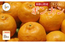 家庭用 森本農園の手選別 ポンカン 約8kg 和歌山県産 サイズ混合 ［北海道・沖縄・離島配送不可］［RN44］［2026年1月上旬から順次発送］