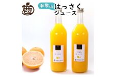 無添加はっさくジュース 約720ml×2本［IKE262］