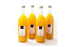 無添加甘夏ジュース 約720ml×4本［IKE268］