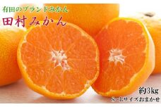 【ブランドみかん】田村みかん約3kg（S・M・Lサイズおまかせ・秀品）★2025年11月下旬頃より順次発送