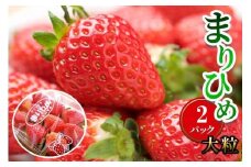 ［先行予約］いちご（まりひめ）2パック 和歌山生まれのイチゴ