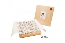 紀州南高梅　「稔」20粒入B-012