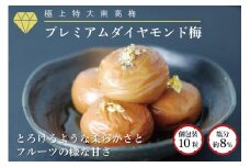 プレミアムダイヤモンド梅10個入A-007
