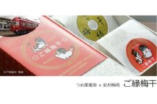 ご縁梅干20入 A-702