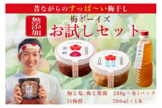 【お試し・無添加梅干し】梅干し（天日塩漬け、紫蘇漬け 各280g×1パック）、白梅酢1本セット ／ 南高梅　A-403