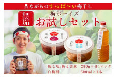 【お試し・無添加梅干し】梅干し（天日塩漬け、紫蘇漬け 各280g×1パック）、白梅酢1本セット ／ 南高梅　umehkr008